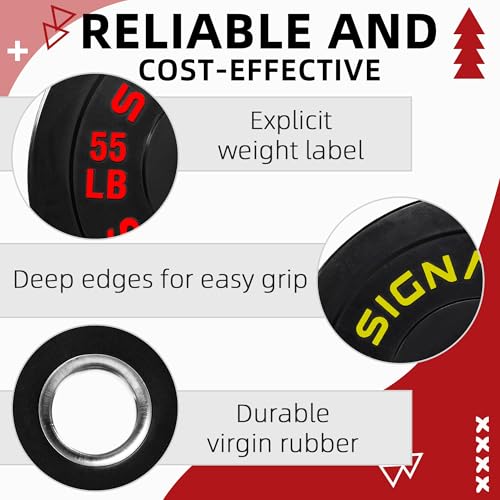 Fitvids 2-Inch Olympic Rubber Weight Plates Sets, Bumper Plates Set with Barbell for Strength Training, 180-390 Lbs Multiple Options - color: Colored, style: 390LB Set With Barbell