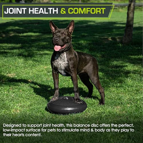 ProsourceFit Core Balance Disc Trainer, 14” Diameter with Pump for Improving Posture, Fitness, Stability - color: Black
