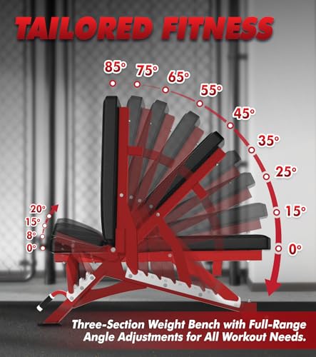 RITFIT Adjustable Weight Bench, Incline Decline Flat, 1300LB Capacity | Full Body Workout Bench for Home Gym Strength Training, 10 Backrest Positions, 3 Seat Angles, Heavy Duty Steel Frame - color: Red