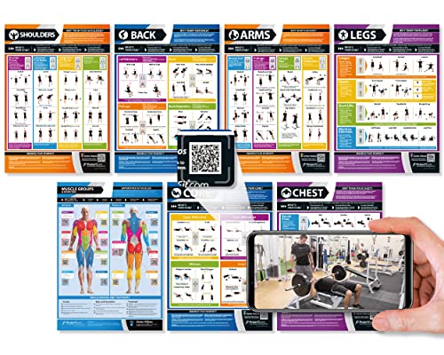 Set of 7 Gym Workout Posters - Laminated Muscle Group Exercise Charts with Free Video Guides, Dumbbell, Kettlebell and Barbell Exercise for Full Body Training and Home Gym Fitness Room Décor