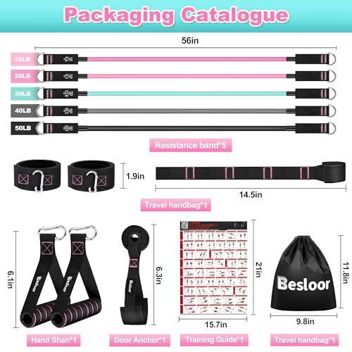 Resistance Band Set. Exercise Bands with Handles, Door Anchor and Ankle Strap. Home Gym, Supports Full-Body Workouts - with Training Guide and Fitness Video