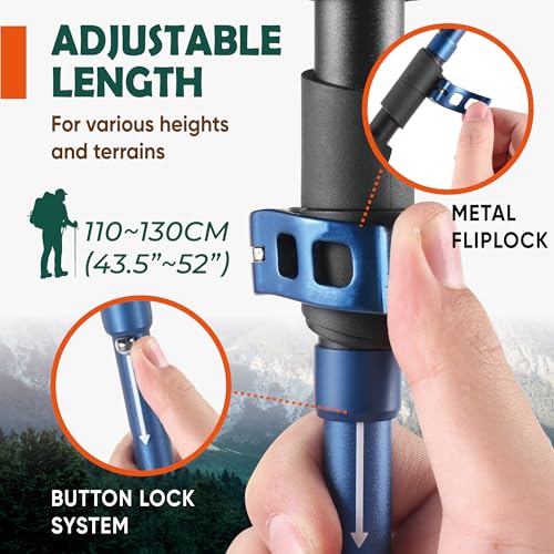 TREKOLOGY Trek-Z Cork Grip Trekking Poles – Lightweight Folding Hiking Poles, Adjustable Height, Compact Travel Design, Aircraft-Grade Aluminum Walking Sticks for Men & Women - color: Black with Blue
