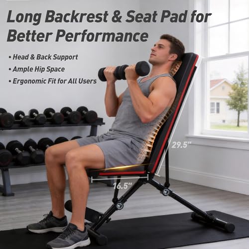 NEWBULIG Adjustable Weight Bench for Home Gym, Foldable Incline Decline Flat Workout Bench for Full Body Exercise, Sit Up Training Equipment, 795 lbs Capacity