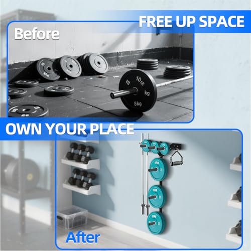 Wall Mounted Weight Plate Rack, 6 Pegs & 4 Barbell Storage Rack, 1190 LBS Capacity Weight Plate Holder, Wall Mounted Bumper Plate Storage for Home Garage Gym, Fit 2" Olympic, Rubber Protection Pads - size: Weight Plate Tree