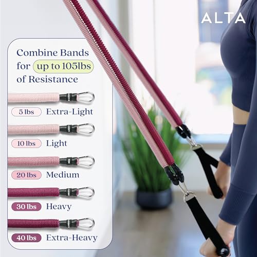 ALTA Resistance Tube Bands for Women - Full Kit Resistance Bands for Working Out with Handles, Ankle Straps, Door Anchor – Home Workout Bands for Physical Therapy, Pilates Long Exercise Bands Set - color: Burst, size: 5 Band Set