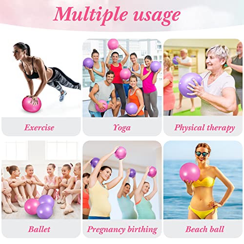 Aoriher 10 Pack 9 Inch Small Pilates Ball Bulk Mini Exercise Ball Portable Non-Slip Workout Yoga Balls with Air Pump for Stability, Barre, Fitness, Balance, Physical &Core, Gym Home Office Use - color: Pink, Purple