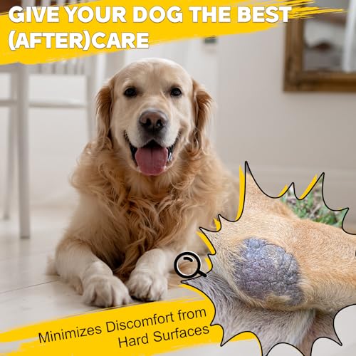 Dog Elbow Brace for Front Leg，Adjustable and Comfortable, Support for Arthritis, Hygroma and Injury Recovery，Secure Fit for Active & Senior Dogs, Prevents Licking,Calluses - size: XS-Right