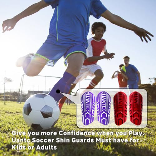 Shin Guards - Soccer Shin Guards with Cushion Protection for Kids/Adults - color: Red and Purple,Shin Pads 2 Pairs, size: Large