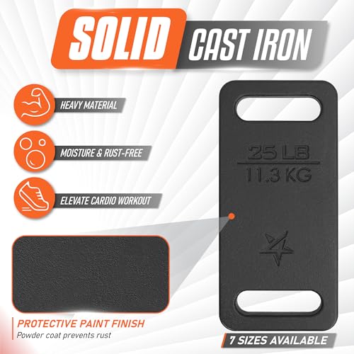 Yes4All Cast Iron Rucking Weight for Backpack, Training Weight Plate with Ergonomic Rounded Handle, Protective Glossy Finish for Weighted Walking, Hiking, Rucking, Resistance Workout - style: D. 25LB