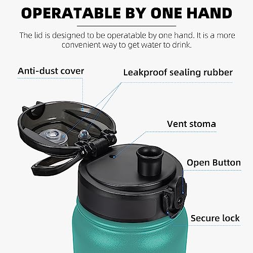 Fanhaw 32 oz Insulated Stainless Steel Water Bottle with Anti-Dust Chug Lid, Leakproof Vacuum Sports Bottle for Kids, Teens & Adults, Back to School Essentials (Green Blue) - color: Green Blue, style: 32 Ounces