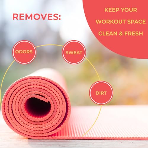 SwaytAway Fitness Mat Mist with Towel, 4oz Travel Size, 2 Pack, Citrus | Yoga Mat Spray with Towel Aromatherapy-Inspired Citrus and Eucalyptus Blend, Plant-Based, No Rinse, Refreshes & Deodorizes - size: 2 Count (Pack of 1)