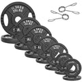 Fitvids Standard Cast Iron 1-Inch Weight Plates for Strength Training & Weightlifting, 35LB/70LB/120LB - style: Set (120LB: 2.5/5/10LB X4+25LB X2)