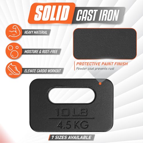 Yes4All Cast Iron Rucking Weight for Backpack, Training Weight Plate with Ergonomic Rounded Handle, Protective Glossy Finish for Weighted Walking, Hiking, Rucking, Resistance Workout - style: H. 2x10LB