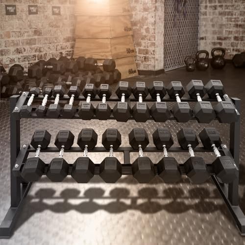 550 lbs 1200lbs 2100 lbs Dumbbells Weight Set, Hex Dumbbell Sets, Gyms Weights Dumbbells Sets, Weight Set for Home Gym, Strength Training, Fitness Center Equipment - color: 550lbs Dumbbells W/ 2-tier Rack