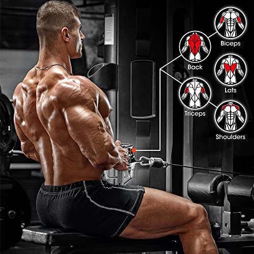 Yes4All Cable Machine Attachment, Double D Handle & Tricep Rope Cable Attachment, Weight Machine Accessories Load 880 LB for Home Gym - color: F. Double Row Rotate Chrome