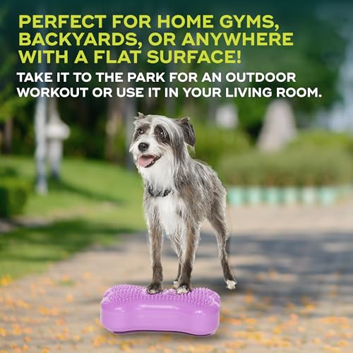 FitPAWS® K9FITbone® - Mini, Razzleberry (Set of 2) | Dog Balance Training Platform & Exercise Equipment | Workout Tool for Strength, Core & Stability - color: Razzleberry