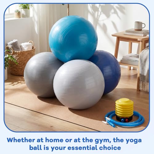 Leyndo 4 Pcs 26 Inch Yoga Exercise Ball Pilates Pregnancy Birthing Fitness Ball with Quick Pump Anti Burst for Improved Posture, Balance, Yoga, Pilates, Training - color: Blue Gray Set
