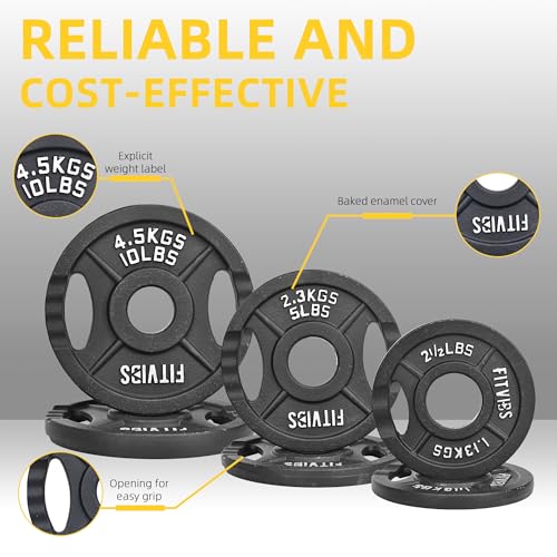 Fitvids Standard Cast Iron 1-Inch Weight Plates for Strength Training & Weightlifting, 35LB/70LB/120LB - style: Set (70LB: 2.5/5/10LB X4)