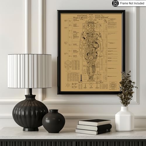Poster Master Vintage Human Body Print - Retro Occult Anatomy Poster - Halloween Art - Gift for Men & Women - Gothic Wall Decor for Living Room, Bedroom or Dorm - 8x10 UNFRAMED Wall Art - color: Style-03, size: 8"L x 10"W