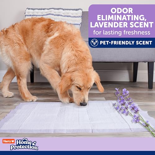 Hartz Home Protection Super Absorbent Odor Eliminating Lavender Scented No Leak Dog Pads, 3XL 14 Count - size: 3XL 36 x 36 (14 Count)