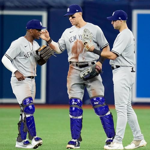 Baseball Softball Catcher Leg Guards Shin Guards for Youth Adult - size: 15"-Adult Blue