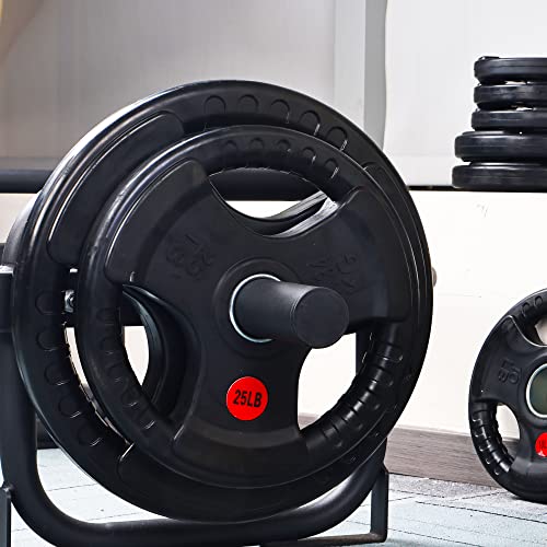 Signature Fitness Olympic 2-Inch Cast Iron Plate Weight Plate for Strength Training and Weightlifting, Multiple Sizes - color: 25LB Pair, style: Style #4