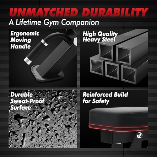 RITFIT Adjustable Weight Bench, Incline Decline Flat, 1300LB Capacity | Full Body Workout Bench for Home Gym Strength Training, 10 Backrest Positions, 3 Seat Angles, Heavy Duty Steel Frame - color: Black, with 2x5lb Rubber Hex Dumbbells