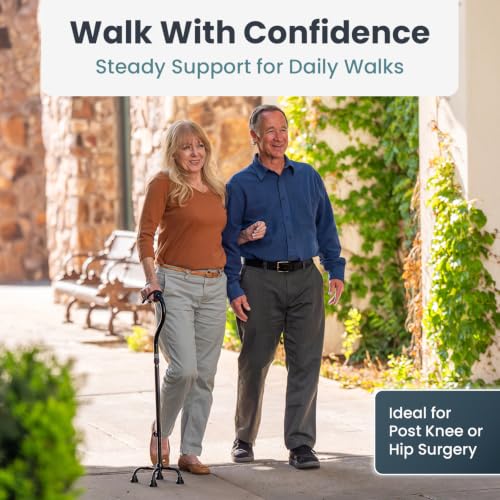 PELEGON Quad Cane (300 lb) - Adjustable Walking Cane with A Large 4 Pronged Base for Extra Balance & Stability, Walking Canes for Seniors, Walking Cane for Men & Women, Walking Sticks - color: Purple