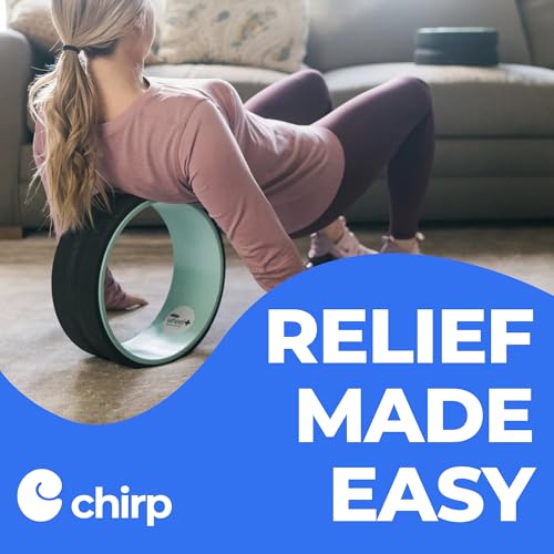 Chirp Wheel+ Foam Roller, Back & Neck Pain Relief, Mint 12-Inch - size: 12" - Gentle