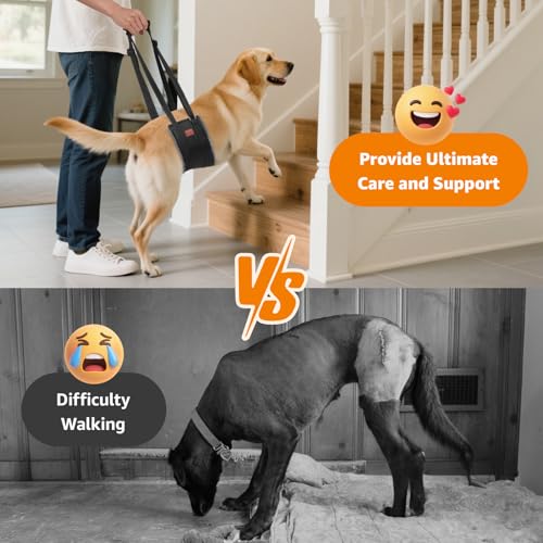 LOOBANI Dog Sling for Large Dogs Hind Leg Support, Portable Dog Lift Harness for Back Legs, Comfortable Leg Support Assistance for Elderly Dogs with Hip, ACL Brace, Senior, Injured - color: Grey&Black, size: X-Large