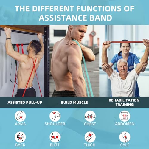 Resistance Bands, Pull Up Bands, Pull Up Assist Band Exercise Bands for Men & Women Working Out, Body Stretching, Physical Therapy, Muscle Training - color: Orange