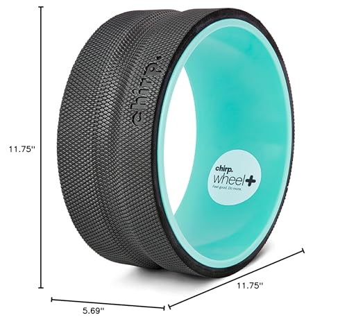 Chirp Wheel+ Foam Roller, Back & Neck Pain Relief, Mint 10-Inch - size: 10" - Medium