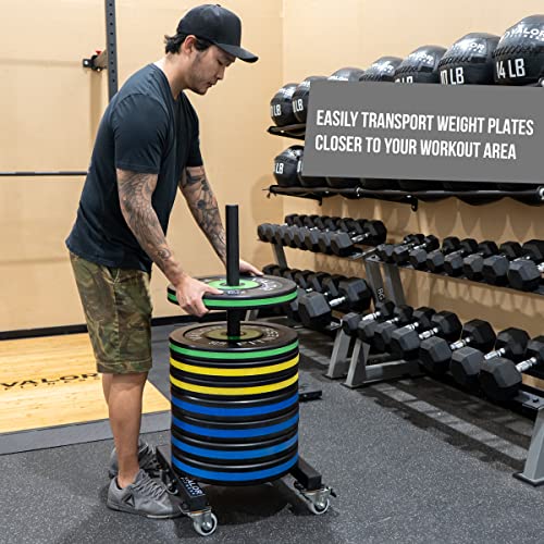 Valor Fitness Bumper Plate Storage Rack, Olympic Weight Plate Tree with Locking Wheels, 500 lb Capacity, 2 Inch Plate Holder for Home Gym, Garage Gym, and Commercial Fitness Use