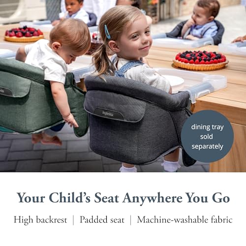 Inglesina Fast Table Chair, Charcoal Gray Melange - Portable Baby High Chair - for Babies & Toddlers up to 37 lbs - Fits Tables 0.8'' to 3.5'' Thick - Compact & Easy to Use - Travel Bag Included - color: Charcoal Gray Melange, style: Chair