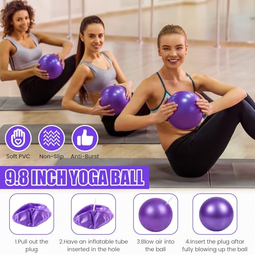 40 Pcs 9 Inch Bulk Pilates Balls Resistance Bands Set 20 Mini Bulk Exercise Balls Yoga 20 Resistance Loop Exercise Bands for Stability Fitness Physical Strength Office Training Gym - color: Purple
