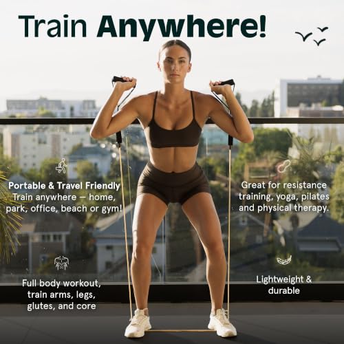 Retrospec Train Resistance Bands Set for Working Out - 5 Stackable Bands, Handles & Door Anchor - Portable Fitness Equipment for Physical Therapy & Yoga Includes Carry Bag - color: Smoothie, size: (Pack of 5)