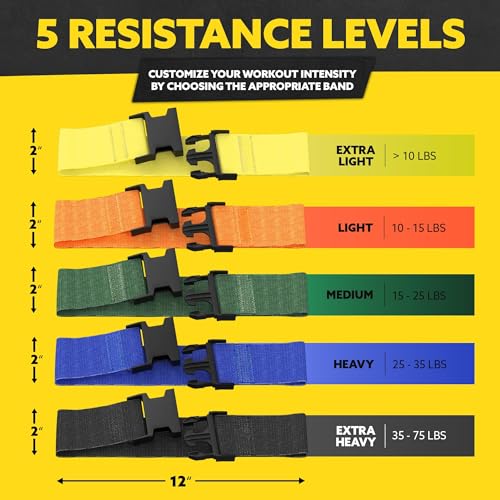 Tribe Lifting Fabric Resistance Bands for Working Out - 5 Exercise Bands Set for Legs and Glutes - Booty Bands for Women and Men - Thick Cloth Workout Bands for Physical Therapy, Hip Training - color: Multicolor Buckle