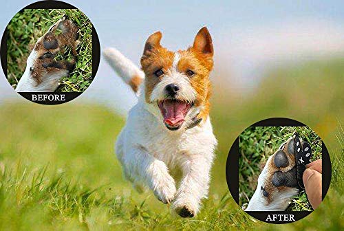 VALFRID Dog Paw Protector Anti-Slip Grips to Keeps Dogs from Slipping On Hardwood Floors,Disposable Self Adhesive Resistant Dog Shoes Booties Socks Replacement M 24 Pieces - size: M (1.8" x1.52",11-20 lbs)