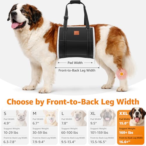 LOOBANI Dog Sling for Large Dogs Hind Leg Support, Portable Dog Lift Harness for Back Legs, Comfortable Leg Support Assistance for Elderly Dogs with Hip, ACL Brace, Senior, Injured - color: Black, size: XX-Large