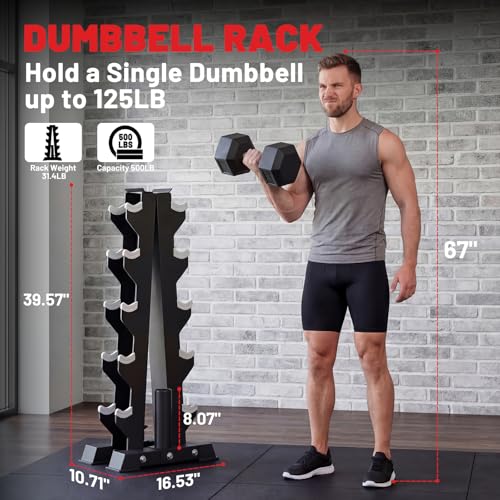 Hex Dumbbell Sets with Rack, 85-560lb Dumbbell Weight Set & Storage Rack | PAPABABE Dumbbell Set with Stand, Rubber Dumbbell Weight Set, Multiple Options Hand Weight for Strength Training - size: 16.5" (L) x 10.7" (W) x 39.57" (H)