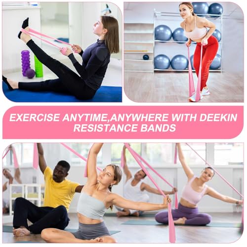 DEEKIN 10 Pcs Resistance Bands Professional Exercise Elastic Bands Latex-Free Yoga Starter Set for Pilates, Physical Therapy, Strength Training, Yoga, Working Out for Women Home Gym - color: Pink, style: 15 Lbs