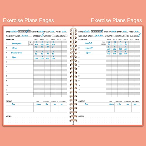 Fitness Planner for Women & Men - A5 Workout Log Book/Exercise Workout Log to Track Weight Loss, GYM, Bodybuilding Progress - Daily Health & Wellness Workout Journals, 5.8X8.25 In Workout Book - style: Pink