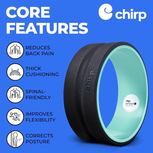 Chirp Wheel+ Foam Roller, Back & Neck Pain Relief, Mint 12-Inch - size: 12" - Gentle