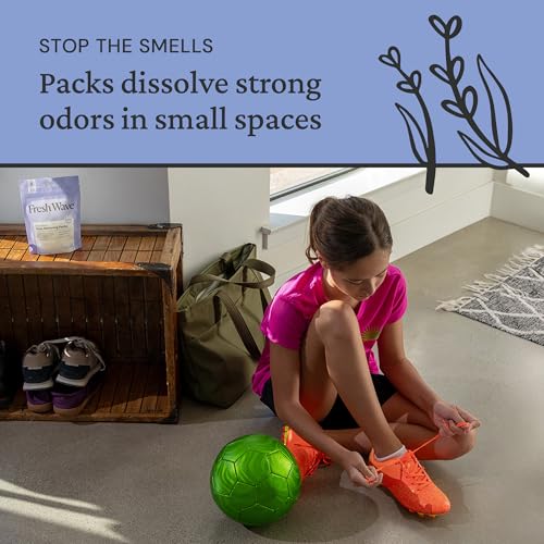 Fresh Wave Lavender Odor Eliminating & Deodorizing Packs | Bag of 6 | Safer Odor Relief for Small Spaces | Natural Plant-Based Odor Eliminator | Odor Absorbers for Home - size: 6 Count (Pack of 1)