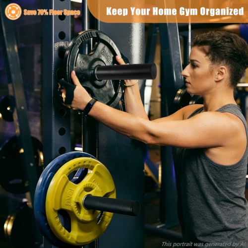 CAELUM Weight Plate Holder Power Rack Attachment, for 2 Inch Olympic Plate Storage, Squat Rack Holder Fits 2"x2", 2"x3", 3"x3" Power Cages - size: 1" hole(4pcs)