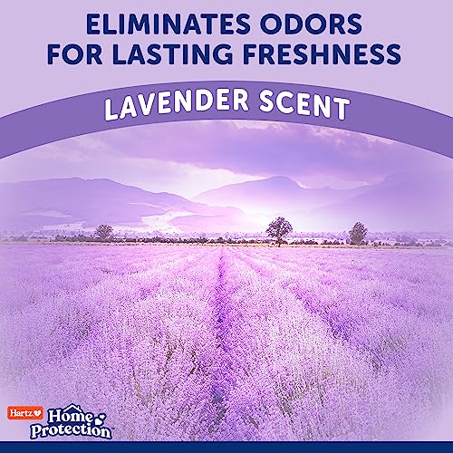Hartz Home Protection Lavender Scented Dog Pads, 3XL 30 Count, Super Absorbent & Won't Leak, Odor Eliminating (Pack of 2) - size: 3XL 36 x 36 (30 Count) (Pack of 2)