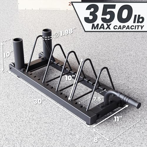 Synergee Horizontal Plate Rack – 350 lb Capacity with Bar Holders