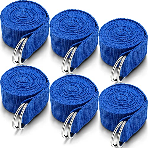 6 Pcs Yoga Strap for Stretching 8 ft Yoga Exercise Adjustable Straps Bands with Safe D Ring Buckle for Pilates, Gym Workouts, Fitness, Physical Exercise, Dance, Improve Flexibility - color: Royal Blue