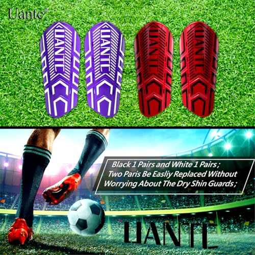 Shin Guards - Soccer Shin Guards with Cushion Protection for Kids/Adults - color: Red and Purple,Shin Pads 2 Pairs, size: Large