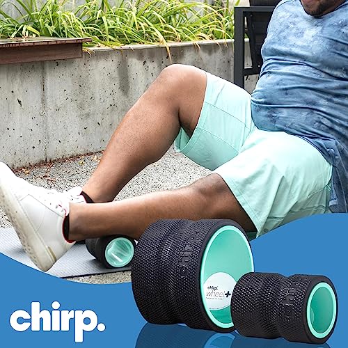 Chirp Wheel+ Foam Roller 2-Pack, Back & Neck Pain Relief, Mint | Back Roller Wheel Set, Foam Roller for Back Pain, Deep Tissue Relief, 4/6 in, Neck and Muscle Recovery - size: 2 Pack